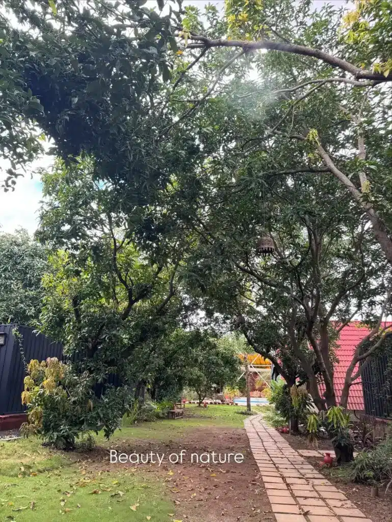 A Day at an Eco Farm Relax, Learn, Explore and Reconnect with Nature At Mruda Farmstay