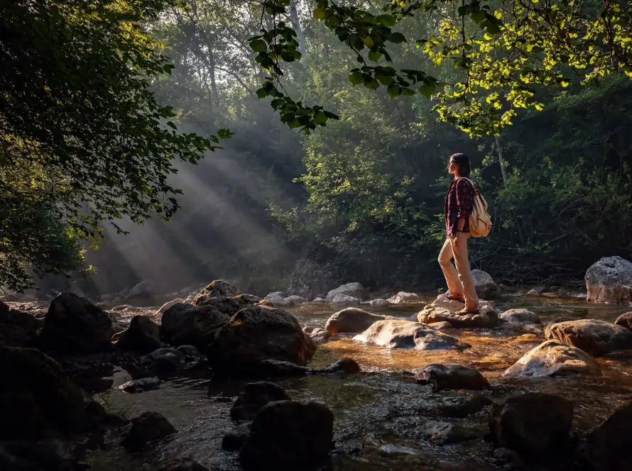 Nature-Inspired Luxury Resorts Experience